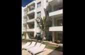 beach garden jardin 2