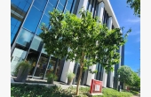 275, Excelente local para oficinas en Punta Cana Village